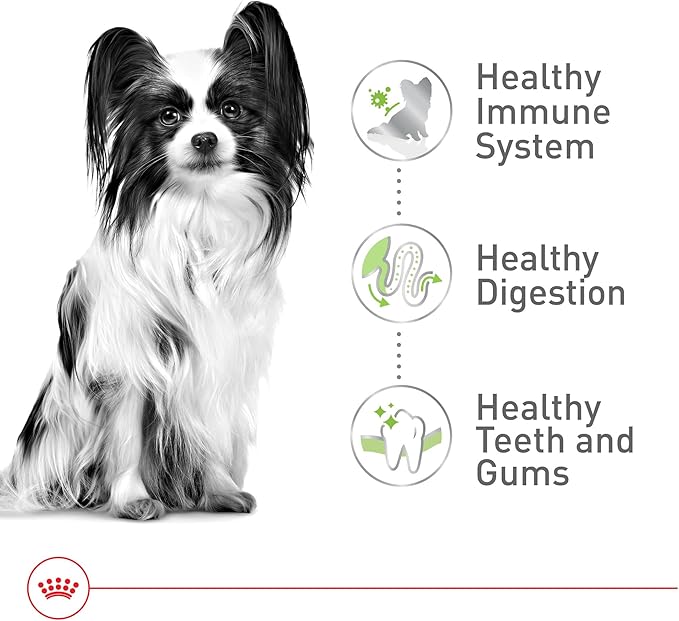 Royal Canin Size Health Nutrition X-Small Adult Dry Dog Food, 14 lb Bag