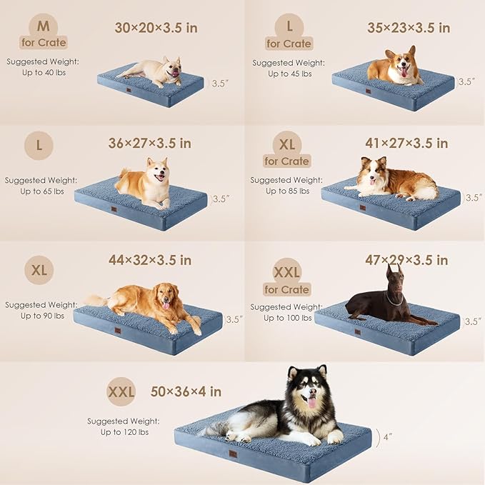 EHEYCIGA Orthopedic Dog Beds for Large Dogs with Removable Washable Cover, Spa Blue, 36x27