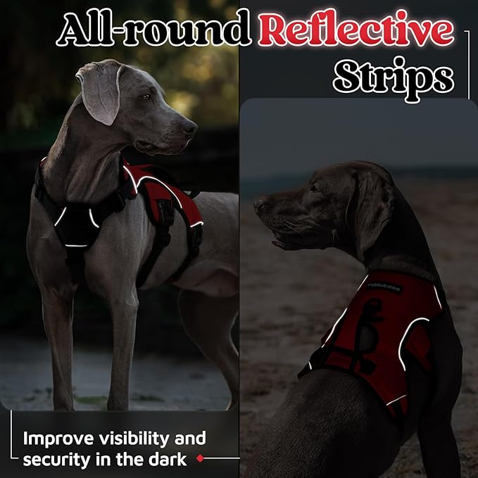 rabbitgoo Escape Proof Dog Harness, Soft Padded Full Body Pet Harness, Reflective Adjustable No Pull Vest with Lift Handle and Leash Clip for Large Dogs Walking Hiking Training, M, Red