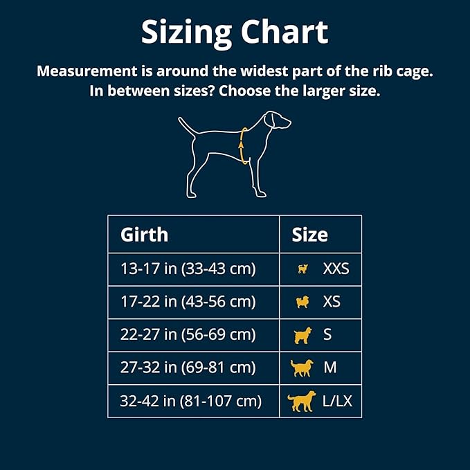 Ruffwear, Front Range Dog Harness, Reflective Soft Padded Everyday Harness with Dual Leash Clips, Adjustable and Lightweight Fit for Training or Walking for All Dogs, Red Canyon, Medium