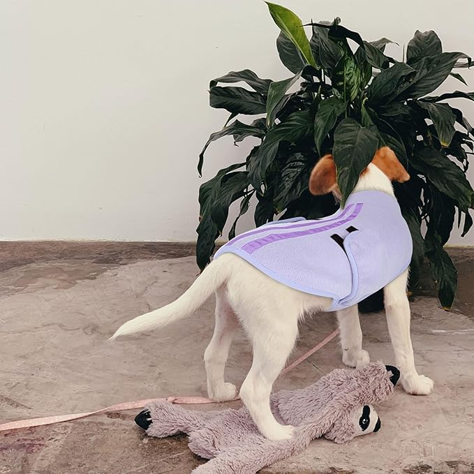 Queenmore XXS Dog Sweater, Soft Fleece Vest Pullover Dog Jacket with Leash Hole, Warm Winter Dogs Clothes Cold Weather Doggy Dachshund Sweaters for Small Dogs Cats Boy or Girl (Lilac, XXS)