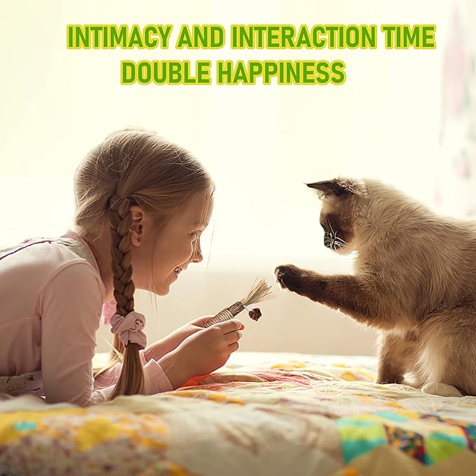 BAWAN Catnip Toys‖ Silvervine for Cats: Cute Cat & Kitten Toys for Indoor Cats Interactive‖ Cat & Kitten Teething Chew Toys for Aggressive Chewers‖ Silvervine Sticks Ca.t Dental Toy (3PCS)