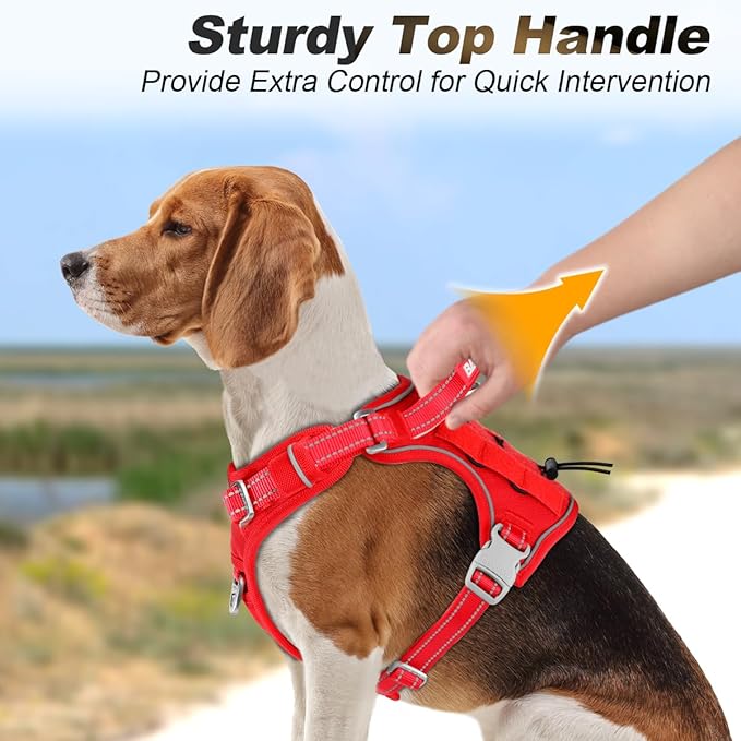 BARKBAY Service Dog Vest Tactical Dog Harness Medium Large Sized Dog Tags Personalized No Pull Adjustable Harness Reflective K9 Working Training Easy Control Military Molle System(Red,S)