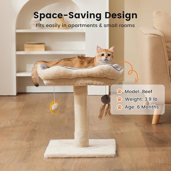 Gardner Pet 20" Cat Tree, Solid Wood Small Cat Tree, Removable Bed, Sisal Scratching Post & Hanging Toys, Compact Cat Tower Perch for Kittens & Indoor Cats (Beige, Square)