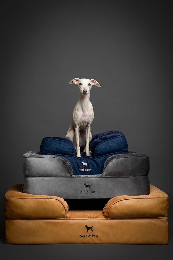 NOAH & PAW XL Dog Bed, 45x35x9.1 Inch, Orthopedic Large Dog Beds, Eggshell Memory Foam Infused with Cooling Gel, Waterproof, Machine Washable, Includes Inner Cover (Denim Collection)