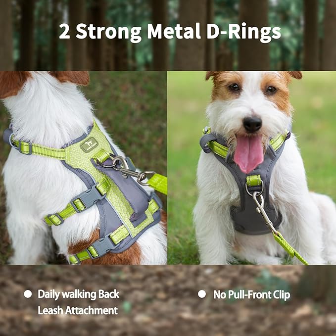 Huntboo Reflective Dog Harness with Handle, Escape Proof, No Slip, Breathable, Lightweight, Adjustable Lift Harness for Small, Medium, and Large Dogs Walking, Training,and Running Gear(Bright Green,S)
