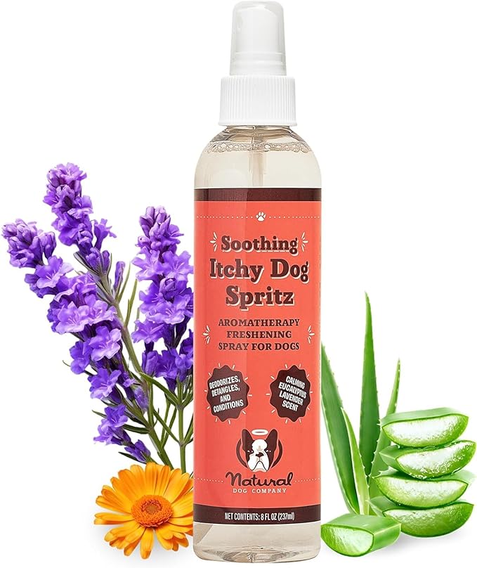 Natural Dog Company Itchy Dog Spritz 8 oz – Hypoallergenic Deodorizing Spray with Aloe, Lavender & Calendula – Soothes Itchy Skin, Refreshes Coat Between Baths – Free from Parabens, Sulfate & Alcohol