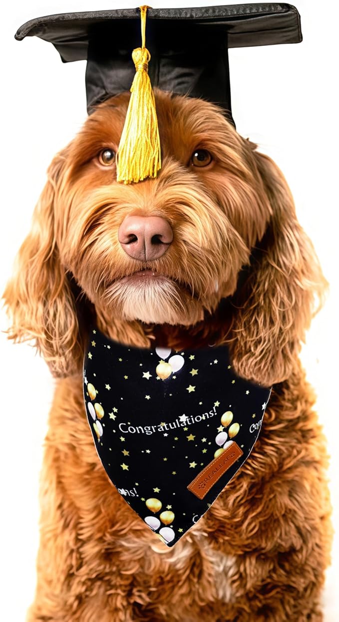 Realeaf Graduation Dog Bandanas 2 Pack, Reversible Pet Scarf for Boy and Girl, Premium Durable Fabric, Holiday Bandana for Small Medium Large and Extra Large Dogs (Graduation, Small)