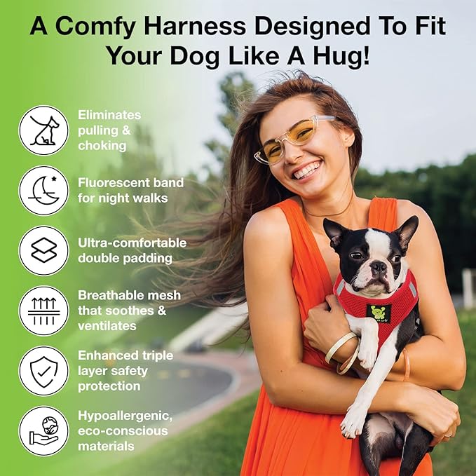 EcoBark Step in Dog Harness - Eco-Friendly Teacup Dog Harnesses for XXS, XS, and Small Dogs - Reflective and Adjustable Mini Body Halter Vest -Tiny Soft Mesh Toy Breed Harness (Red, XXXS)
