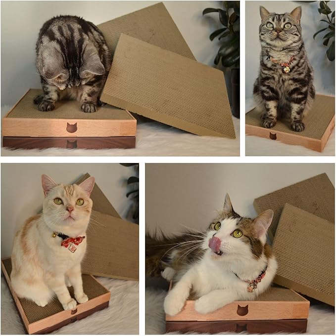 Necoichi Cardboard Cat Scratcher Bed for Indoor Cats - Cat Scratching Board (16" Wide, c. Replacement 2 Pads)
