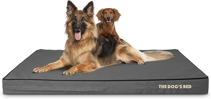 The Dog’s Bed Orthopedic Memory Foam Dog Bed, XXL Grey & Black, Waterproof, Supportive Dog Bed with Replaceable Covers