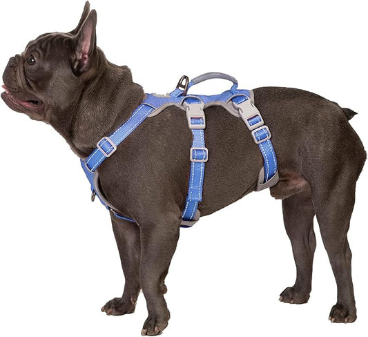 Huntboo Escape Proof Harness, No Slip Dog Harness Escape Proof,Fully Reflective Harness with Handle, Breathable,Durable, Adjustable Vest for Medium Dogs Walking,Training,and Running Gear(Vista Blue,M)