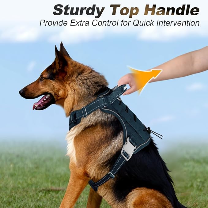 BARKBAY Service Dog Vest Tactical Dog Harness Medium Large Sized Dog Tags Personalized No Pull Adjustable Harness Reflective Working Training Easy Control Military Molle System(Legion Blue,L)