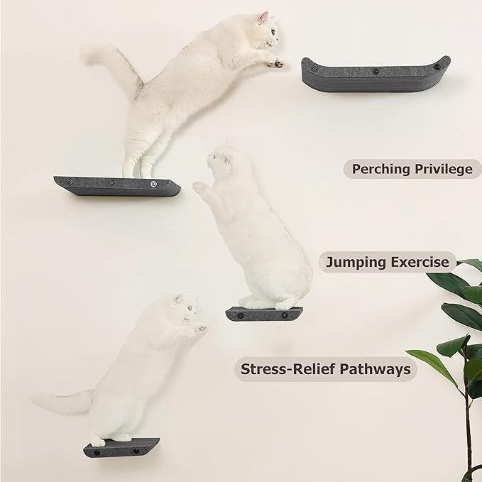 Wall Mounted Cat Shelves and Perches,Scratchable Cat Beds & Furniture for Indoor Cats, Soft PET Felt Feline Climbing Wall Set, Modern Jungle Gym System for Lounging and Sleeping (Set of 4-Grey)