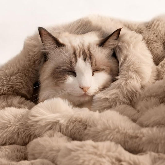 Cat Blankets for Indoor Cats Super Soft Plush Faux Fur Kitten Blankets Machine Washable Reversible Pet Throw Protector for Couch Furniture 21"X 18" Coffee