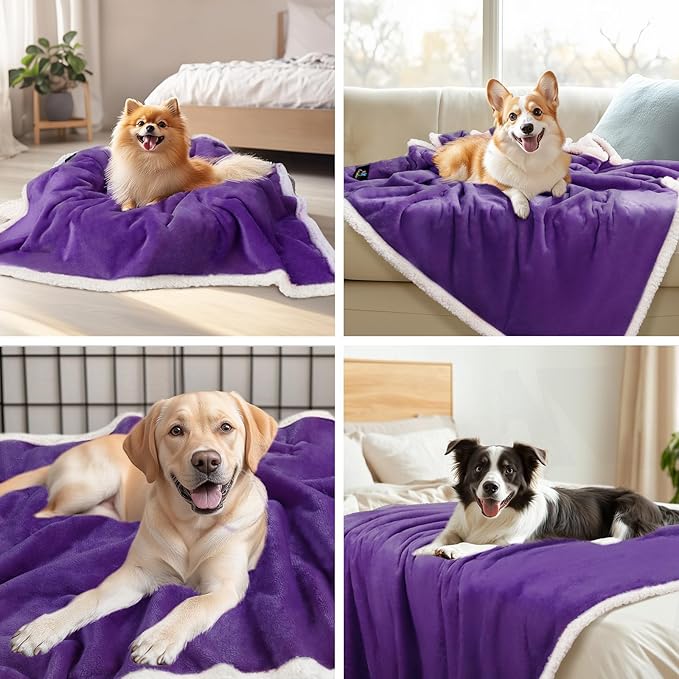 Luciphia Waterproof Bed Blanket Washable,Soft Sherpa Fleece Puppy Reversible Throw Blankets for Small Dog Cat,Furniture Cover Protector Couch Bed from Liquid Pee and Pet Fur, Purple White, 40" x 28"