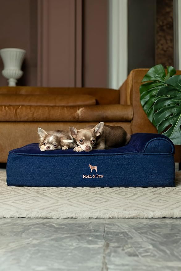 NOAH & PAW Dog Bed, 28x23x7.5 Inch, Orthopedic Dog Beds for Medium Size Pets, Eggshell Memory Foam Infused with Cooling Gel, Waterproof, Machine Washable, Includes Inner Cover (Denim Collection)