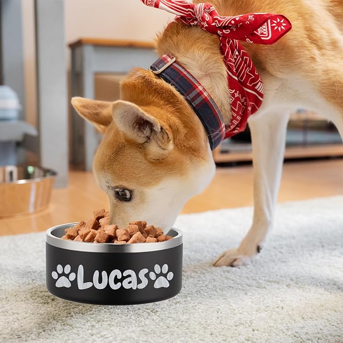 Custom Personalized Dog & Cat Bowls - Stainless Steel Non-Slip Water & Food Dishes - Easy to Clean, Dishwasher Safe - Small, Medium, Large Sizes (Black)