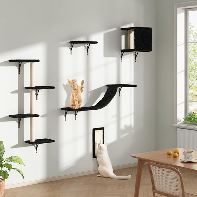 Cat Wall Shelves, Wall Mounted Cat Furniture, Cat Wall Cimber with Perches, Scratchers and Condo, Set of 5 (Black)