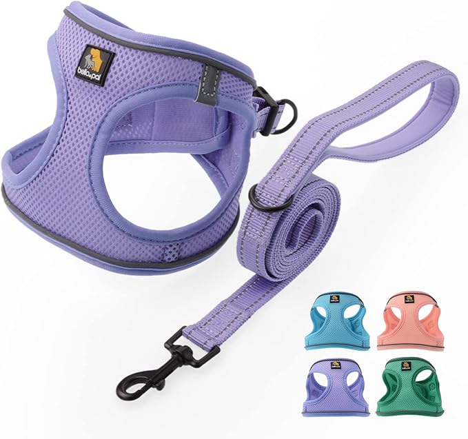 BELLA & PAL Step in Vest Harness for Small and Medium Dogs, No Pull Small Dogs Harness with Leash Set, Comfortable Air Mesh Dog Vest Harness with Reflective Strip (Lavender, M)