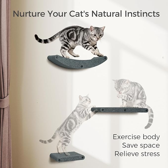 Cat Wall Shelves Stable Wall-Mounted Cats Shelves and Perches - 3-in-1 Cat Playground Furniture Set for Climbing Resting - Suitable for Small to Large Indoor Cats (Black)