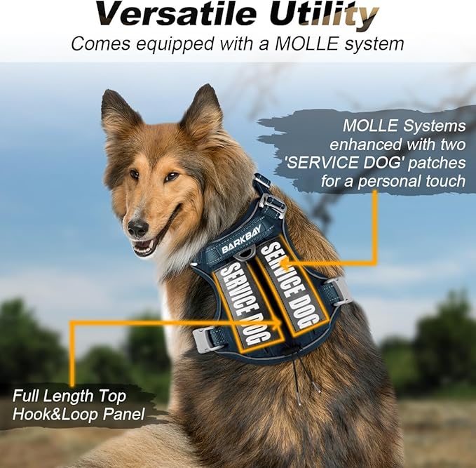 BARKBAY Service Dog Vest Tactical Dog Harness Medium Large Sized Dog Tags Personalized No Pull Adjustable Harness Reflective Working Training Easy Control Military Molle System(Legion Blue,XL)