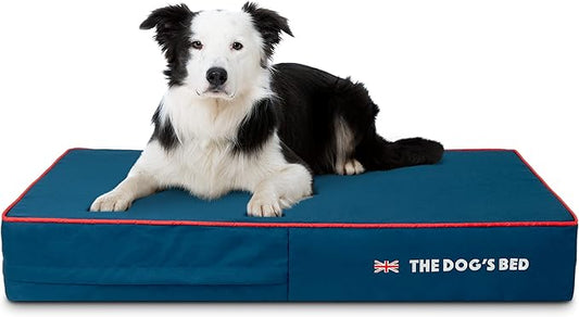 The Dog’s Bed Orthopedic Memory Foam Dog Bed, Large Blue Oxford with Red Trim UK Flag, Pain Relief for Arthritis, Hip & Elbow Dysplasia, Post Surgery, Supportive, Calming, Waterproof Washable