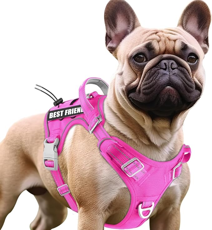BARKBAY Service Dog Vest Tactical Dog Harness Medium Large Sized Dog Tags Personalized No Pull Adjustable Harness Reflective K9 Working Training Easy Control Military Molle System(Pink,M)