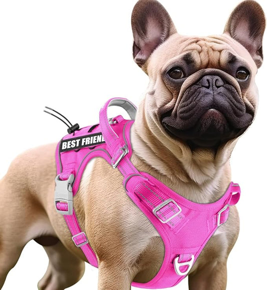 BARKBAY Service Dog Vest Tactical Dog Harness Medium Large Sized Dog Tags Personalized No Pull Adjustable Harness Reflective K9 Working Training Easy Control Military Molle System(Pink,M)