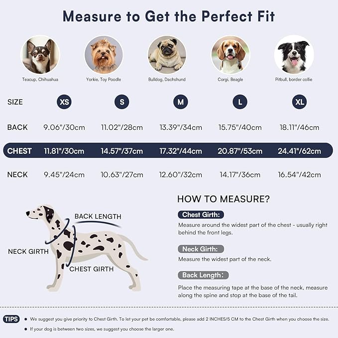 Queenmore Warm Dog Sweater, Soft Pet Knitwear, Knitted Pullover, Winter Pet Clothes for Small Medium Dogs Cats