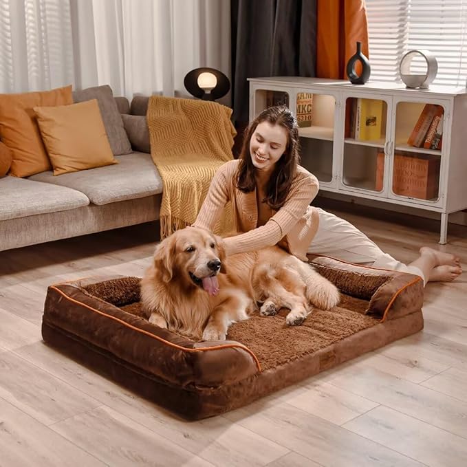 Comfort Expression Orthopedic Dog Bed for Large Dogs 36x27 Inch, Waterproof Supportive Egg Crate Foam Large Pet Bed with Removable Bolsters, Dog Couch with Washable Cover & Non-Slip Bottom, Dark Brown