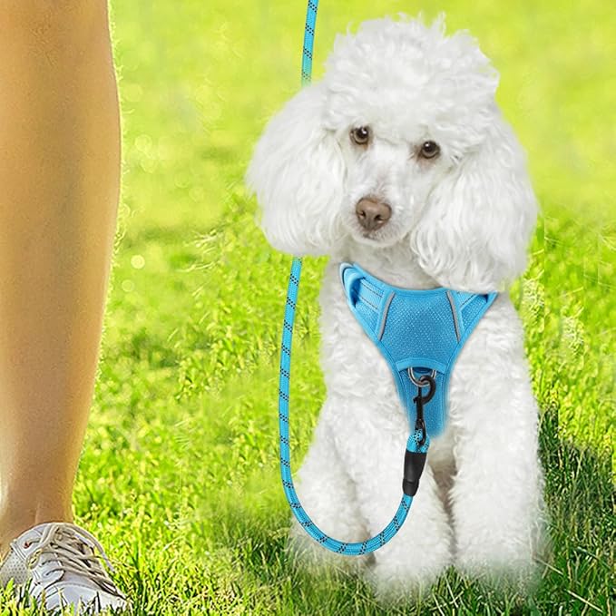 BARKBAY Dog Harness No Pull with ID Tag Pocket - Heavy Duty, Reflective, Easy Control for Large Dogs(Blue,XS)