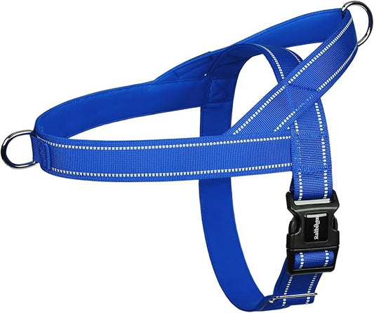 rabbitgoo Dog Harness No Pull, Quick Fit for Small Dogs with Soft Padded Handle, Chest Adjustable Reflective Pet Vest, No Choke Escape Proof for Walking Training, Blue S