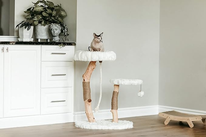 Mau Lifestyle Luxury Cat Tree: Modern Cat Condo & Luxury Wood Cat Tower; Natural Branch Scratching Tree & Cat Condo; Cat Gifts by Mau