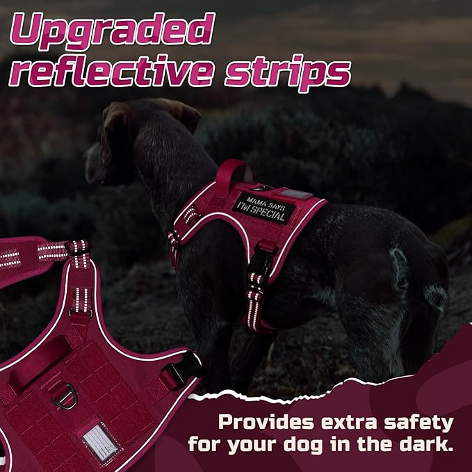 rabbitgoo Tactical Dog Harness Medium Sized Dog, No Pull Military Service Vest with Handle & Molle, Easy Control for Training Walking, Adjustable Reflective Straps, Rose Red, M