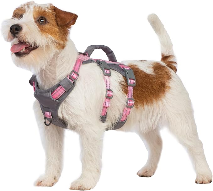 Huntboo Reflective Dog Harness with Handle, Escape Proof, No Slip, Breathable, Lightweight, Adjustable Lift Harness for Small, Medium, and Large Dogs Walking, Training, and Running Gear(Light Pink,XS)