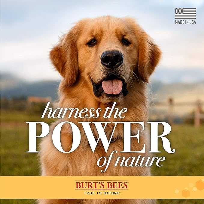 Burt's Bees for Pets Itch Soothing Shampoo with Honeysuckle, 6pk, 95% Natural Origin Formulas, Dog Shampoo for Itchy Dogs, Dog Shampoo Itchy Skin Relief, 6pk, 16 oz