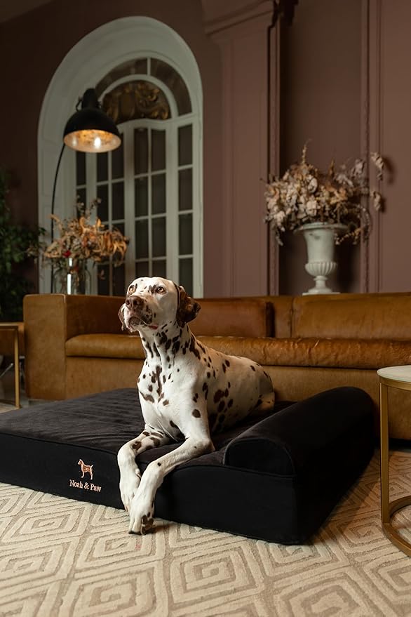 NOAH & PAW XL Dog Bed, 45x35x9.1 Inch, Orthopedic Large Dog Beds, Eggshell Memory Foam Infused with Cooling Gel, Waterproof, Machine Washable, Includes Inner Cover (Denim Collection)