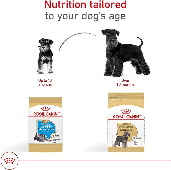 Royal Canin Miniature Schnauzer Adult Breed Specific Dry Dog Food, 10 lb Bag