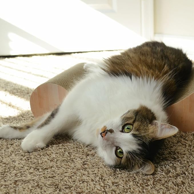 Necoichi Cardboard Cat Scratcher Bed for Indoor Cats - Cat Scratching Board, Horizontal Cat Scratch Pad Lounger with Reversible Usability and Extra Comfort for Lounge, Curved (18" Regular, Oak)