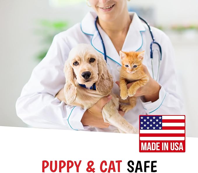 Warren London 10-in-1 After Bath Dog Spray | Leave-in Conditioner & Detangler for Dogs | Aloe Vera, Silk Amino Acids & Green Tea | Fresh Scent | 4oz Travel Size | Made in USA