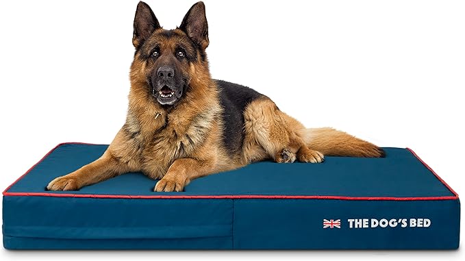 The Dog’s Bed Orthopedic Memory Foam Dog Bed, XL Blue Oxford with Red Trim UK Flag, Pain Relief for Arthritis, Hip & Elbow Dysplasia, Post Surgery, Supportive, Calming, Waterproof Washable