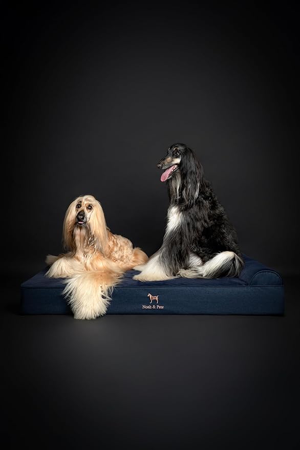 NOAH & PAW Giant Dog Bed XXL 55x45x9.5 Inch, Orthopedic Dog Beds, Eggshell Memory Foam Infused with Cooling Gel, Waterproof, Machine Washable, Includes Inner Cover (Denim Collection)