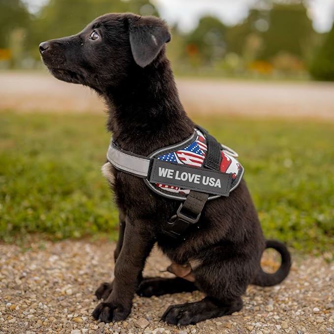 Personalized No-Pull Dog Harness with Name Patch, Adjustable, Reflective, Padded, Heavy Duty Pet Vest to Prevent Tugging, Pulling, or Choking, Training and Walking, Black, M