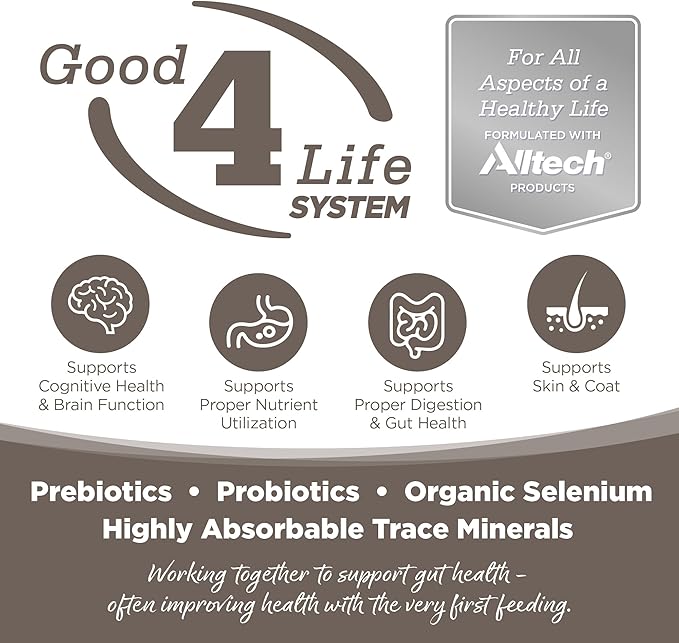 NutriSource Dry Dog Food for Seniors, Chicken and Rice, 12LB