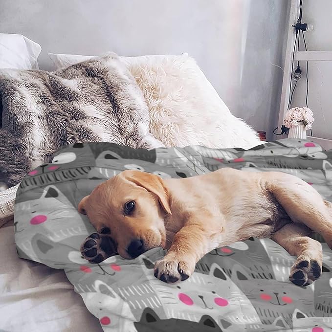 Cute Cat Throw Blanket for Cat Lover Gifts, Soft Warm Cozy Fuzzy Kitten Blanket, Lightweight Bed Blanket, 40"x50" Throw for Kids and Toddler