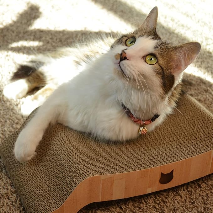 Necoichi Cardboard Cat Scratcher Bed for Indoor Cats - Cat Scratching Board, Horizontal Cat Scratch Pad Lounger with Reversible Usability and Extra Comfort for Lounge, Curved (17" Regular, Oak)
