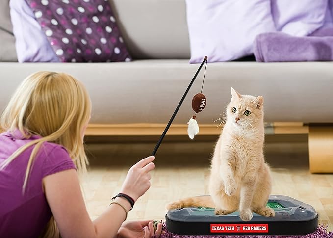 Pets First Cat Scratcher Toy + Interactive Ball Bell in Tracks - 5-in-1 Toy: Wand Poll + Catnip Filled Plush Football & Feathers