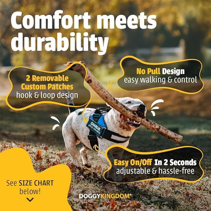 Personalized No-Pull Dog Harness with Name Patch, Adjustable, Reflective, Padded, Heavy Duty Pet Vest to Prevent Tugging, Pulling, or Choking, Training and Walking, Green, L