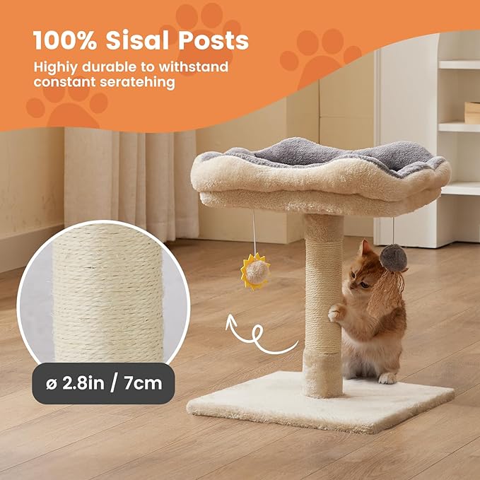 Gardner Pet 20" Cat Tree, Solid Wood Small Cat Tree, Removable Bed, Sisal Scratching Post & Hanging Toys, Compact Cat Tower Perch for Kittens & Indoor Cats (Beige, Square)